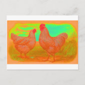 Apocalyps Briefkaart (Voorkant)