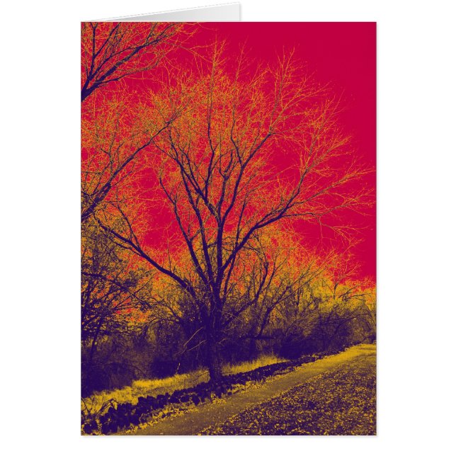 Apocalyptisch (Voorkant)