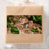 Apodemus sylvaticus etiket (Insitu)