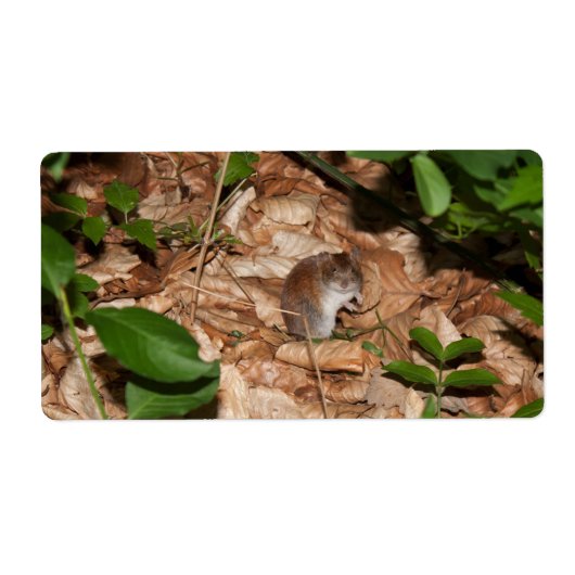 Apodemus sylvaticus etiket (Voorkant)