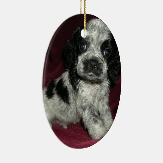 Apollaos spp. keramisch ornament (Rechts)