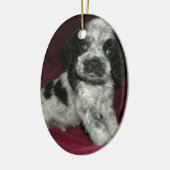 Apollaos spp. keramisch ornament (Links)