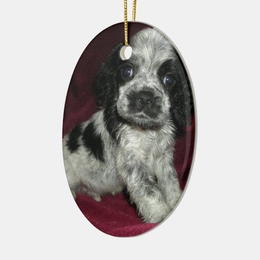 Apollaos spp. keramisch ornament (Links)