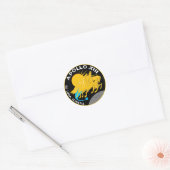 Apollo 13 NASA Missiepatch Logo Ronde Sticker (Envelop)