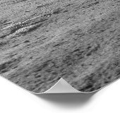 Apollo 14 Astronaut & Lunar Module Poster (Hoek)