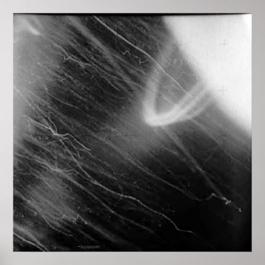 Apollo 15's Zeer geheim schot Poster (Voorkant)