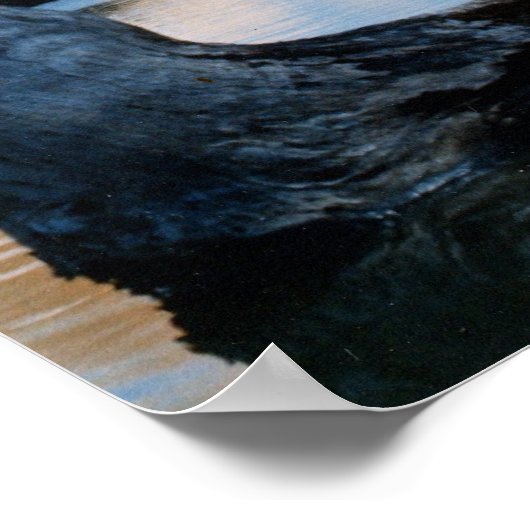 Apollo 16 Start Poster (Hoek)