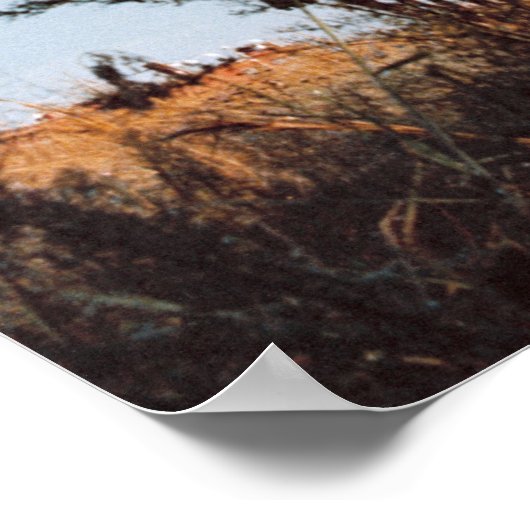 Apollo 16 Uitrol Poster (Hoek)