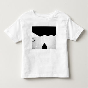 Apollo 17 assembled panorama 2 kinder shirts