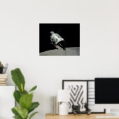 Apollo 17 Command Module Poster (Thuiskantoor)