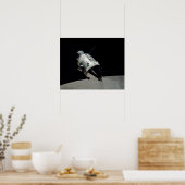 Apollo 17 Command Module Poster (Keuken)