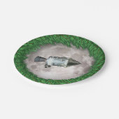 Apollo 8 kerstavond Moon Papieren Bordje (Gekanteld)