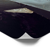 Apollo 9 de Module van het Bevel die met Lunar Mod Poster (Hoek)