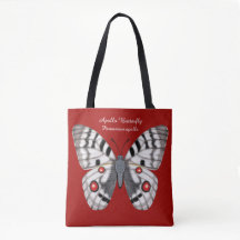 Apollo Butterfly Dorsal en Ventral