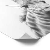 Apollo de giraffe poster (Hoek)