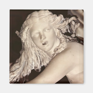 Apollo en Daphne, details van Daphne's hoofd Magneet