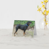 Apollo het Wenskaart Rottweiler Kaart (Gele Bloem)