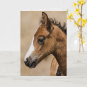 Apollo-Oregon Mustang Kaart (Gele Bloem)