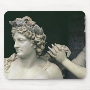 Apollo Tendend door de Nymfs, detail die de Muismat