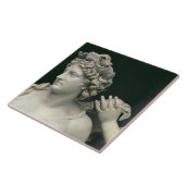 Apollo Tendend door de Nymfs, detail die de Tegeltje (Zijkant)