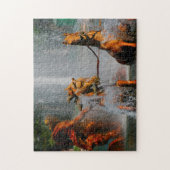 Apollofontein Parijs. Legpuzzel (Verticaal)