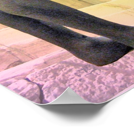 Apollon_01 Poster (Hoek)