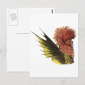 Apollyon Briefkaart (Voorkant / Achterkant)