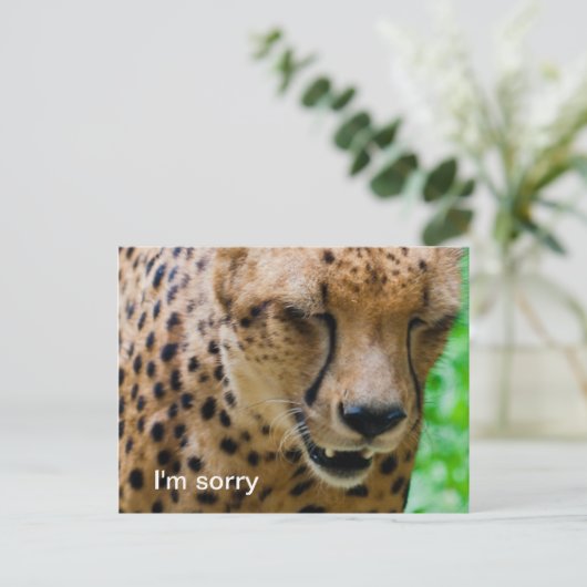 Apologetische Cheetah Briefkaart (Staand voorkant)