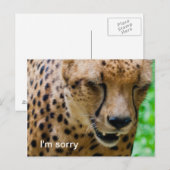 Apologetische Cheetah Briefkaart (Voorkant / Achterkant)