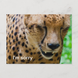 Apologetische Cheetah Briefkaart