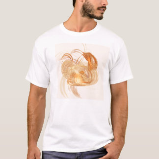 Apophysis-100511-213 Rustyglo T-shirt