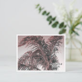 APOPKA FLORIDA BRIEFKAART (Staand voorkant)