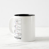 Apoptosis (biologie celdood) tweekleurige koffiemok (Voorkant links)