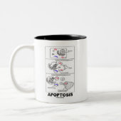 Apoptosis (biologie celdood) tweekleurige koffiemok (Links)