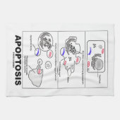 Apoptosis Biologie Geprogrammeerde celdood Theedoek (Horizontaal)