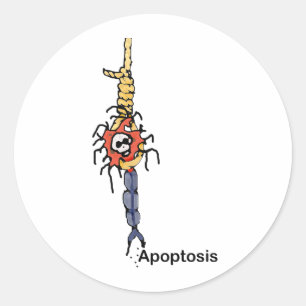 Apoptosis Ronde Sticker