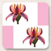 Aporta-copos de plástico  Flor Bier Onderzetter (Voorkant)