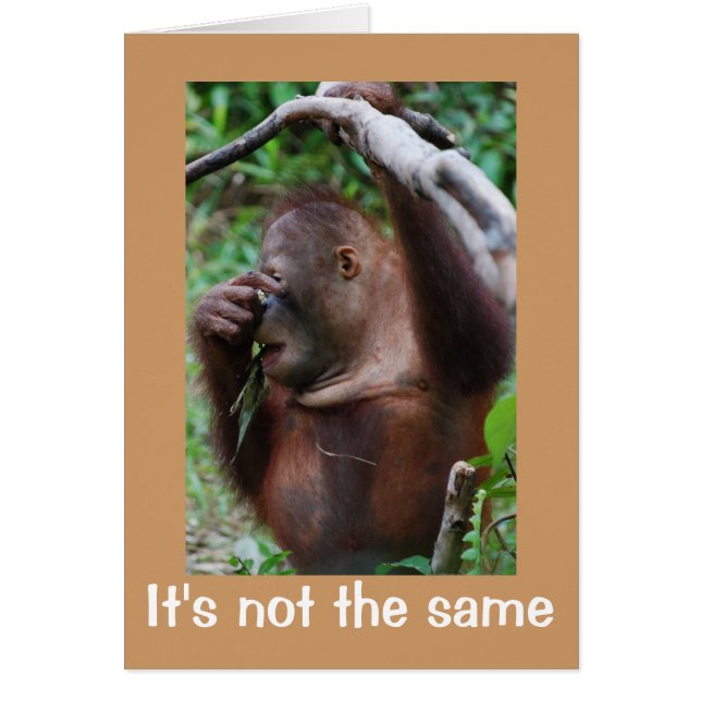 Apostrophe Atrocity (Voorkant)