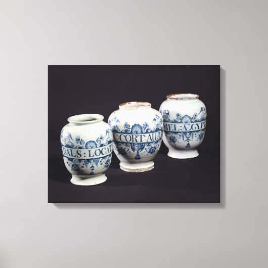 Apothecaries' drug jars, c.1740 canvas afdruk (Voorkant)