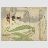 Apothecary Decoupage Tissue Tissuepapier (Voorkant)