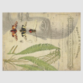 Apothecary Decoupage Tissue Tissuepapier