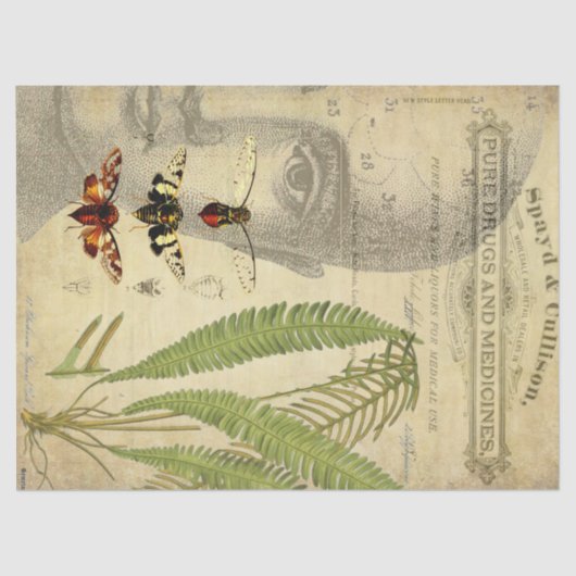 Apothecary Decoupage Tissue Tissuepapier (Voorkant)