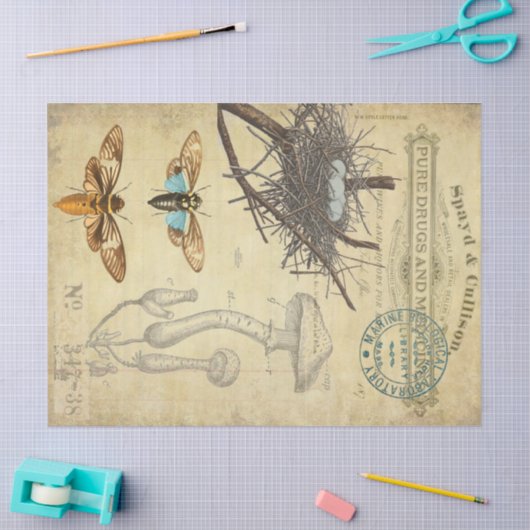 Apothecary Decoupage Tissue Tissuepapier (Craft)