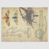 Apothecary Decoupage Tissue Tissuepapier (Voorkant)