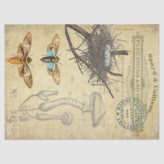 Apothecary Decoupage Tissue Tissuepapier (Voorkant)