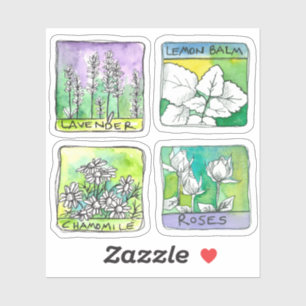 Apothecary Herbal Tea Jar Labels Kamille Roos