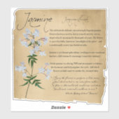Apothecary, kruidengeneesmiddel: Jasmine | Botanis Sticker (Vel)
