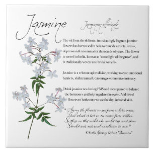 Apothecary, kruidengeneesmiddel: Jasmine   Vloeiba Tegeltje