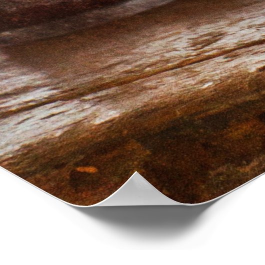 Apothecary - Oleum Rosmarini Poster (Hoek)