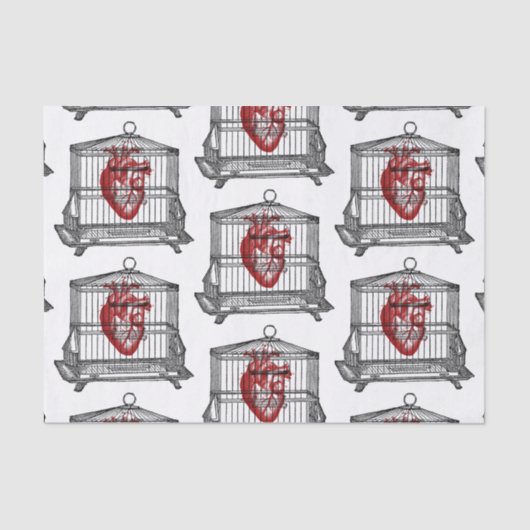 Apothecary Tissuepapier (Voorkant)